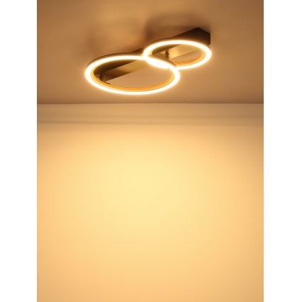 Globo - Plafon LED/30W/230V 3000K 44x30 cm