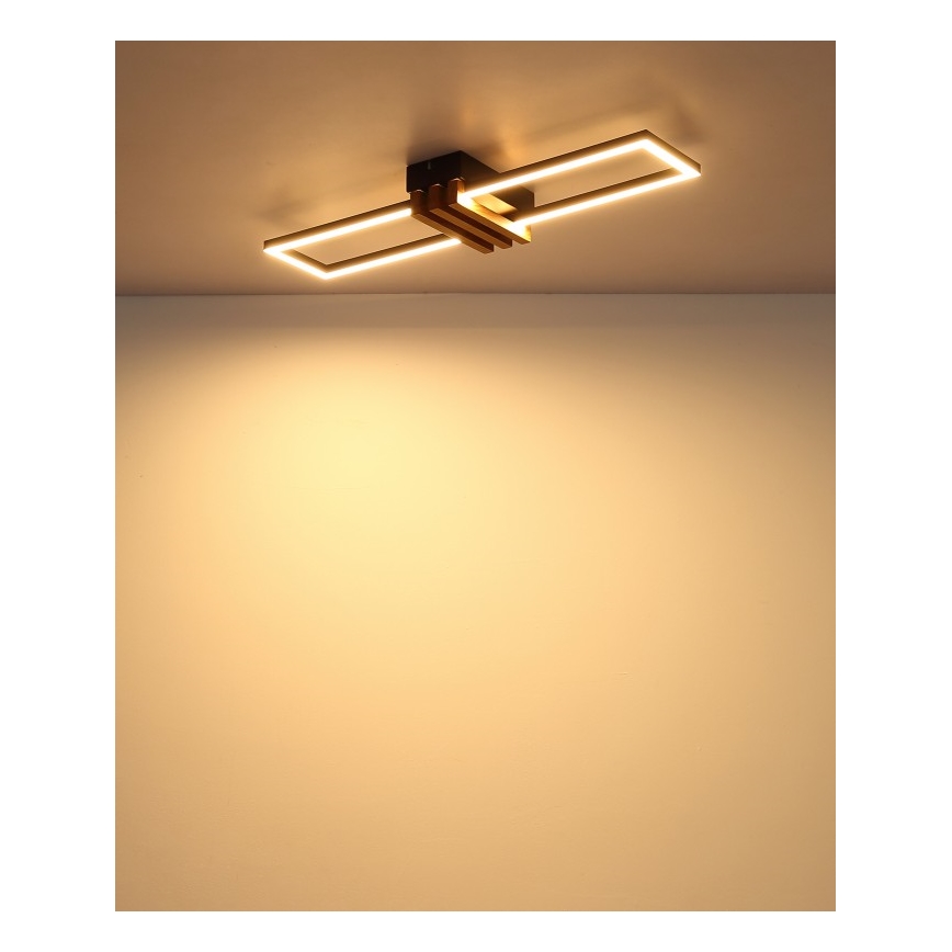 Globo - Oprawa sufitowa LED/20W/230V 3000K 60x16,8 cm