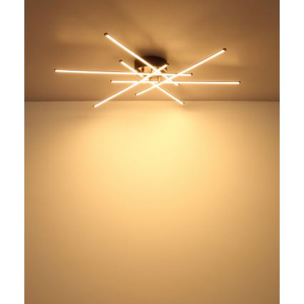 Globo - LED Plafon LED/40W/230V 3000K czarny