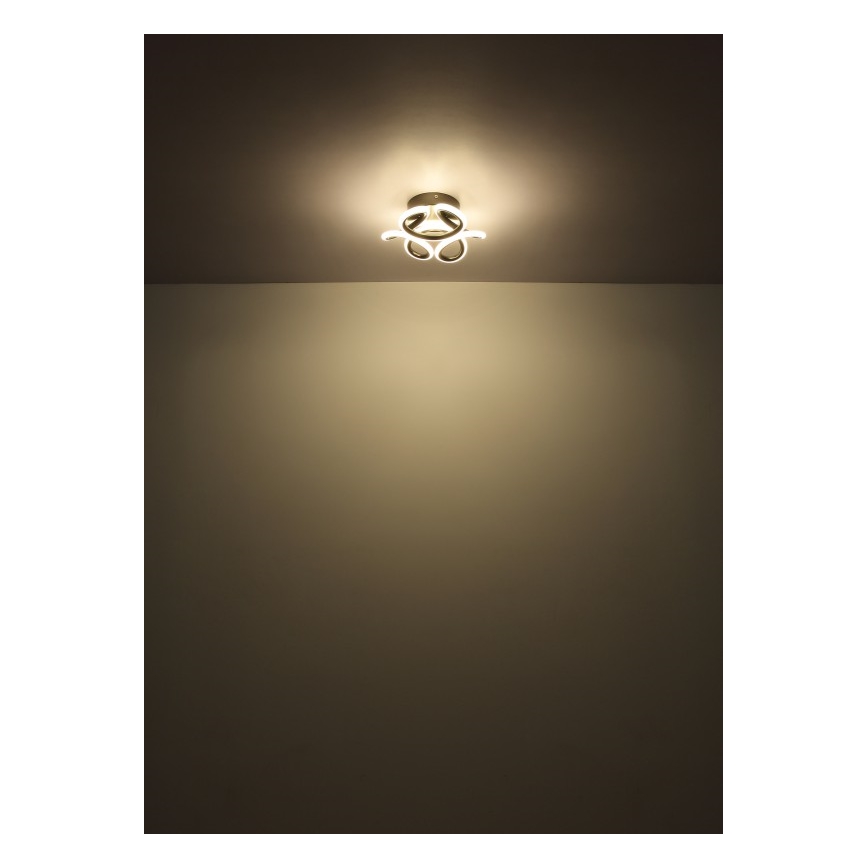 Globo - LED Plafon LED/24W/230V 2700/4000/6000K śr. 26 cm czarny