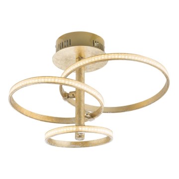 Globo 67822-24G - LED Żyrandol natynkowy WAVE 3xLED/8W/230V