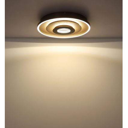 Globo - Lampa sufitowa LED/30W/230V 3000/4000/6000K Ø 40 cm