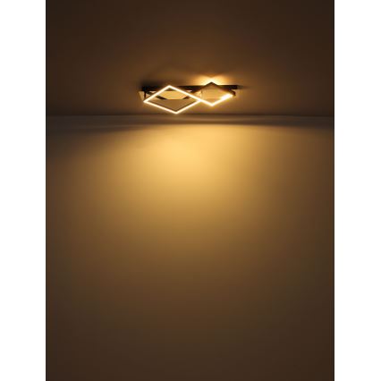 Globo - LED Plafon LED/24W/230V 3000K