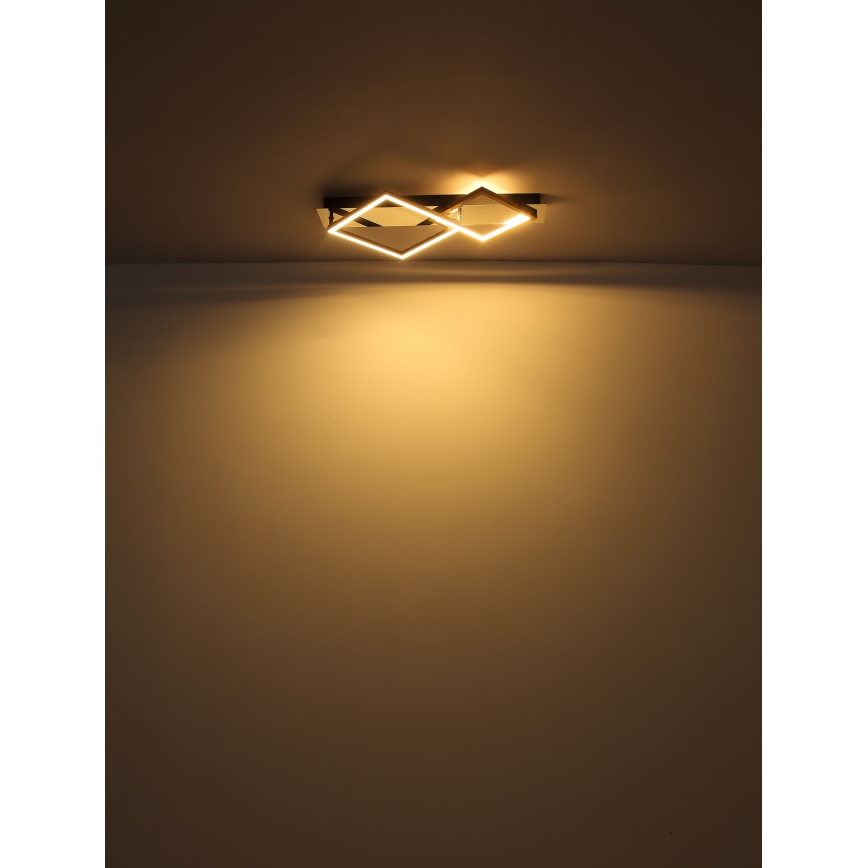 Globo - LED Plafon LED/24W/230V 3000K