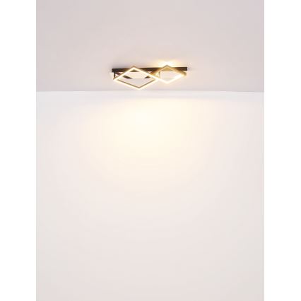 Globo - LED Plafon LED/24W/230V 3000K