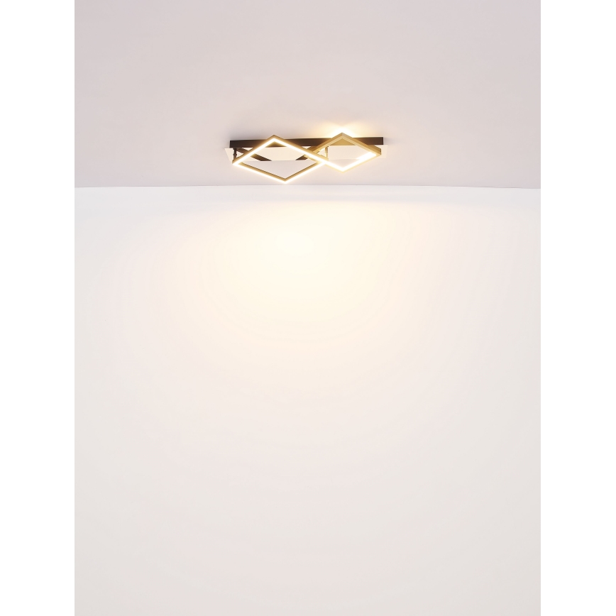 Globo - LED Plafon LED/24W/230V 3000K