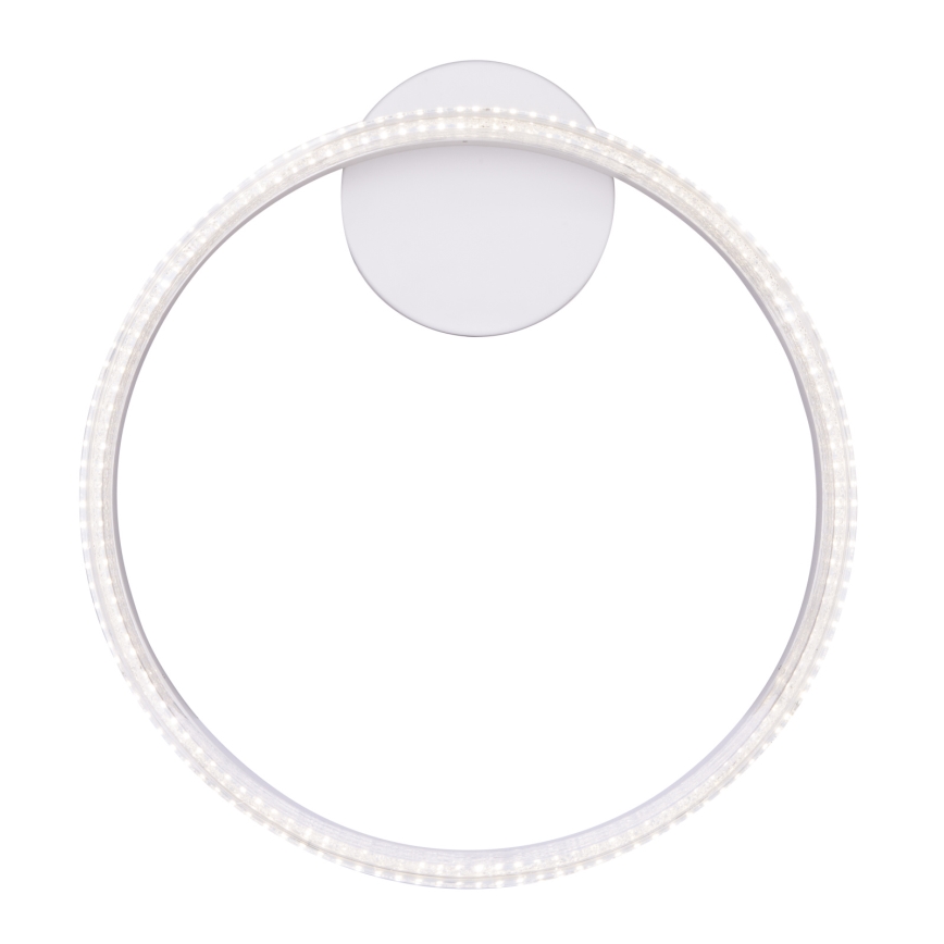 Globo - LED Plafon LED/24W/230V