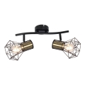 Globo - Lampa punktowa 2xE27/40W/230V