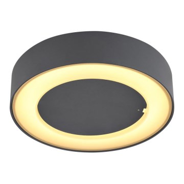 Globo - LED Kinkiet zewnętrzny LED/12W/230V IP54