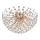 Globo - LED lampa sufitowa 6xG9/3,5W/230V złota