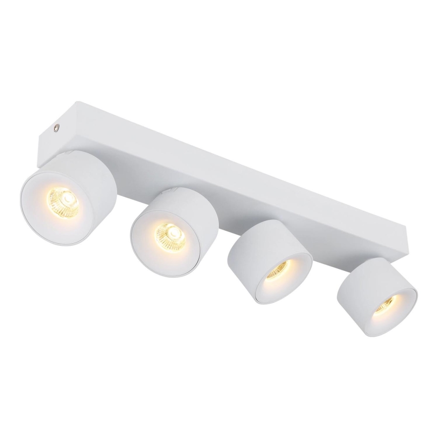 Globo - LED Oświetlenie punktowe 4xLED/6W/230V biały