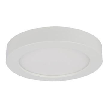 Globo - LED Plafon łazienkowy 1xLED/18W/230V IP44