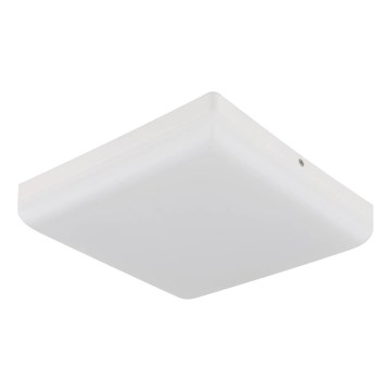 Globo - LED Plafon LED/12W/230V 4000K 22x22 cm biały
