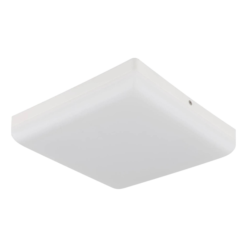 Globo - LED Plafon LED/12W/230V 4000K 22x22 cm biały