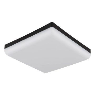 Globo - LED Plafon LED/12W/230V 4000K 22x22 cm czarny