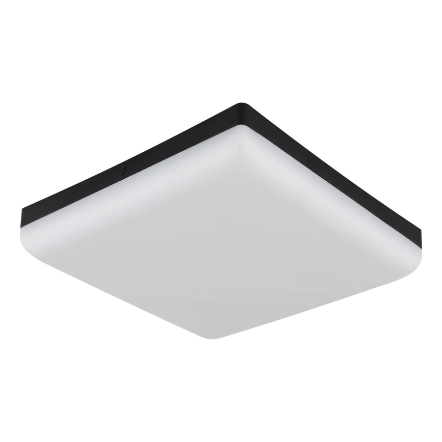 Globo - LED Plafon LED/12W/230V 4000K 22x22 cm czarny