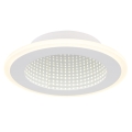 Globo - LED Plafon LED/12W/230V 4000K