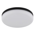 Globo - LED Plafon LED/12W/230V 4000K śr. 22 cm czarny