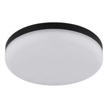 Globo - LED Plafon LED/12W/230V 4000K śr. 22 cm czarny