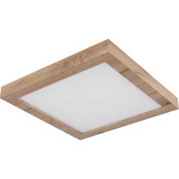 Globo - LED Plafon LED/16W/230V brązowy