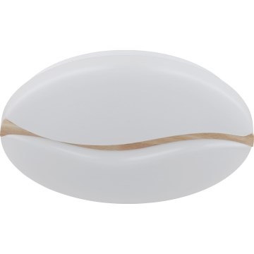 Globo - LED Plafon LED/24W/230V 3000/4200/6000K śr. 33 cm