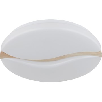 Globo - LED Plafon LED/24W/230V 3000/4200/6000K śr. 39 cm