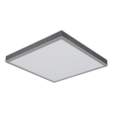 Globo - LED Plafon LED/24W/230V 3000K 45x45 cm