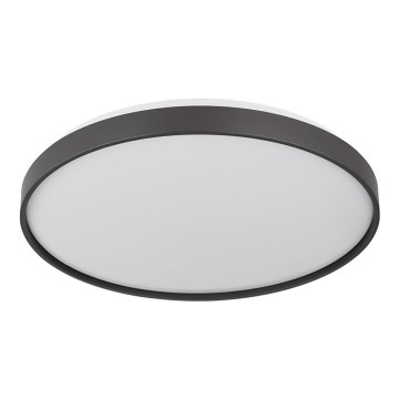 Globo - LED Plafon LED/24W/230V