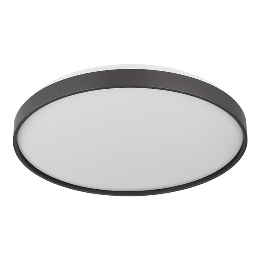 Globo - LED Plafon LED/24W/230V