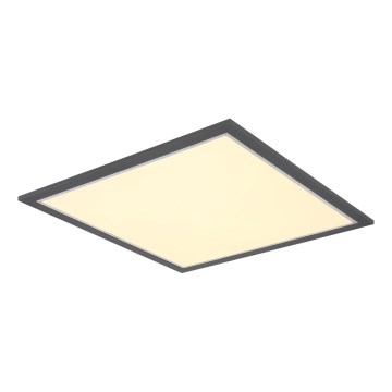 Globo - LED Plafon LED/24W/230V