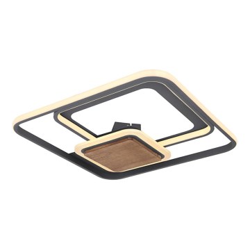 Globo - LED Plafon LED/48W/230V