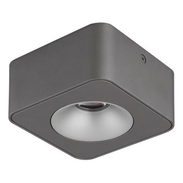 Globo - LED Plafon LED/6,5W/230V 11,7x11,7 cm