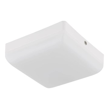 Globo - LED Plafon LED/8W/230V 4000K 12x12 cm biały