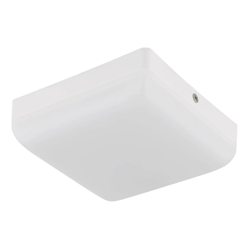 Globo - LED Plafon LED/8W/230V 4000K 12x12 cm biały