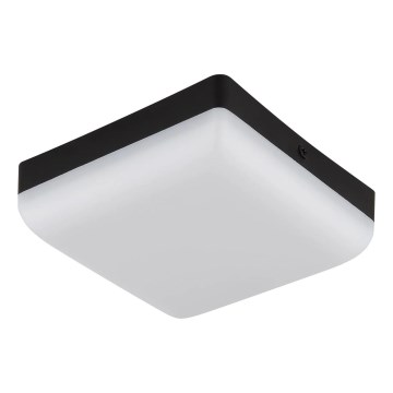 Globo - LED Plafon LED/8W/230V 4000K 12x12 cm czarny