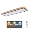 Globo - LED Plafon ściemnialny LED/24W/230V 2700-6500K + zdalne sterowanie