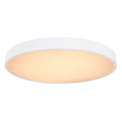 Globo - LED Plafon ściemnialny LED/48W/230V 3000-6000K + zdalne sterowanie