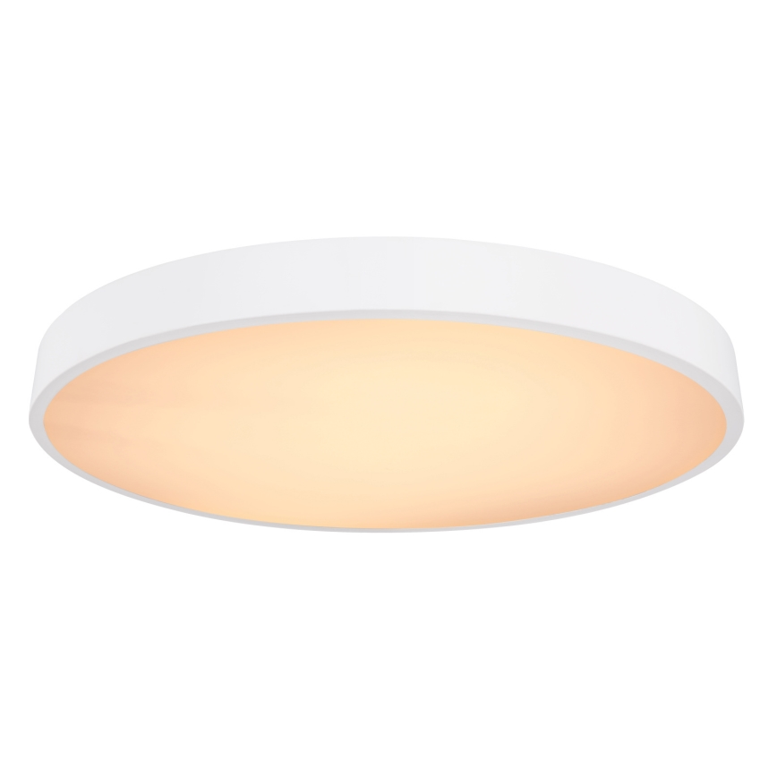 Globo - LED Plafon ściemnialny LED/48W/230V 3000-6000K + zdalne sterowanie