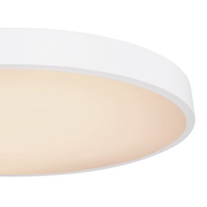 Globo - LED Plafon ściemnialny LED/48W/230V 3000-6000K + zdalne sterowanie