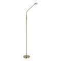 Globo - LED ściemnialna dotykowa lampa stojąca LED/6,5W/230V 2700/3350/4000K mosiądz