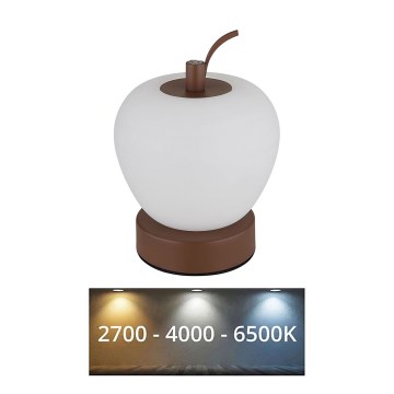 Globo - LED Ściemnialna dotykowa lampa stołowa LED/2W/3,7V 2700K/4000K/6500K 1200 mAh USB brązowy