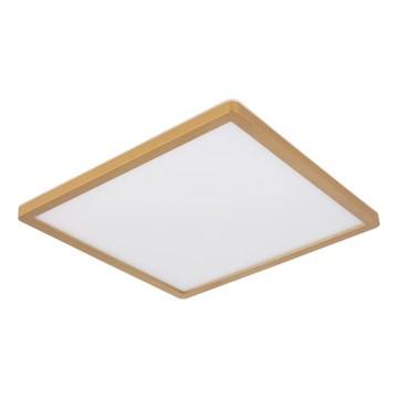 Globo - LED Ściemnialny plafon łazienkowy LED/18W/230V 3000K IP44 29,4x29,4 cm mosiądz