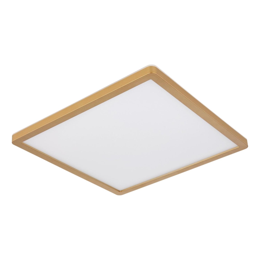 Globo - LED Ściemnialny plafon łazienkowy LED/18W/230V 3000K IP44 29,4x29,4 cm mosiądz