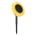 Globo - LED Solarna lampa LED/0,06W/3V słonecznik IP44 800 mAh