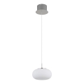 Globo - LED Żyrandol na lince LED/6W/230V biały
