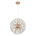 Globo - LED żyrandol na linkach 8xG9/3,5W/230V, średnica 40 cm, złoty