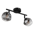 Globo - Oprawa punktowa 2xG9/5W/230V