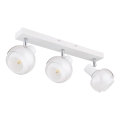 Globo - Oprawa punktowa 3xE14/40W/230V biała