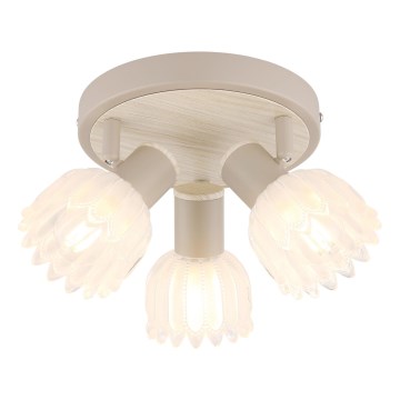 Globo - Oprawa punktowa 3xE14/40W/230V