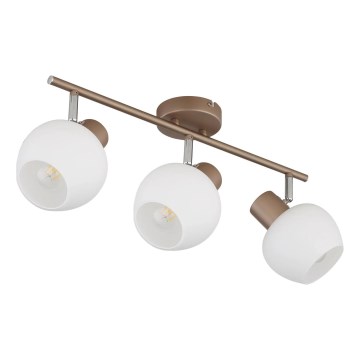 Globo - Oprawa punktowa 3xE27/40W/230V